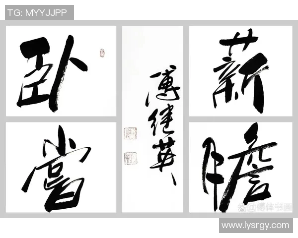杨秀英回顾羽毛球生涯的辉煌与挑战,展现不屈精神与奋斗历程 杨秀英回顾羽毛球生涯的辉煌与挑战,展现不屈精神与奋斗历程