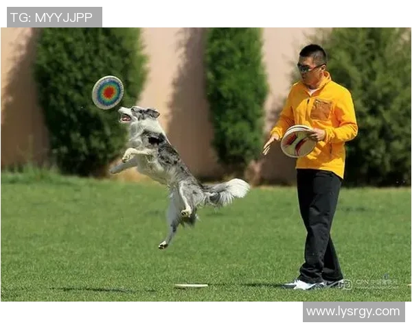 南京飞盘队在极限运动世界杯中的表现与比赛经验分析 南京飞盘队在极限运动世界杯中的表现与比赛经验分析