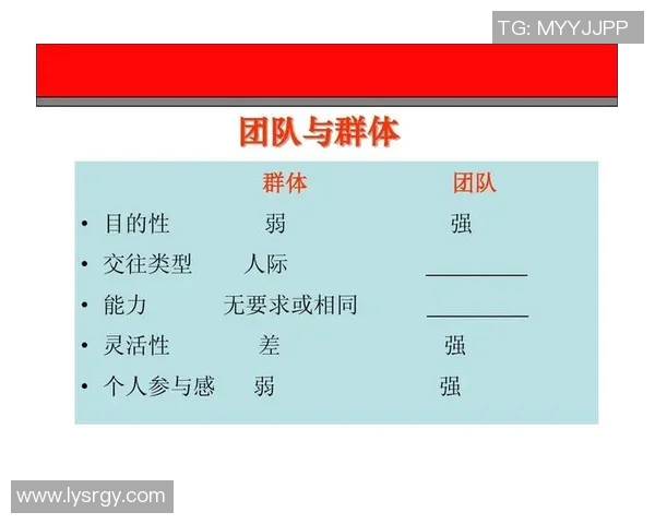 运动数据南京乒乓球队的团队协作之道凝聚力与默契的完美结合